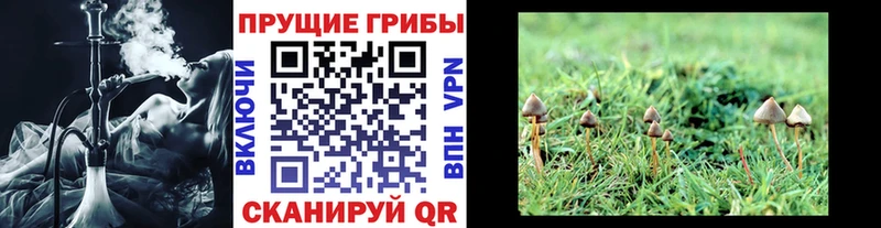 Галлюциногенные грибы MAGIC MUSHROOMS  Новотроицк 